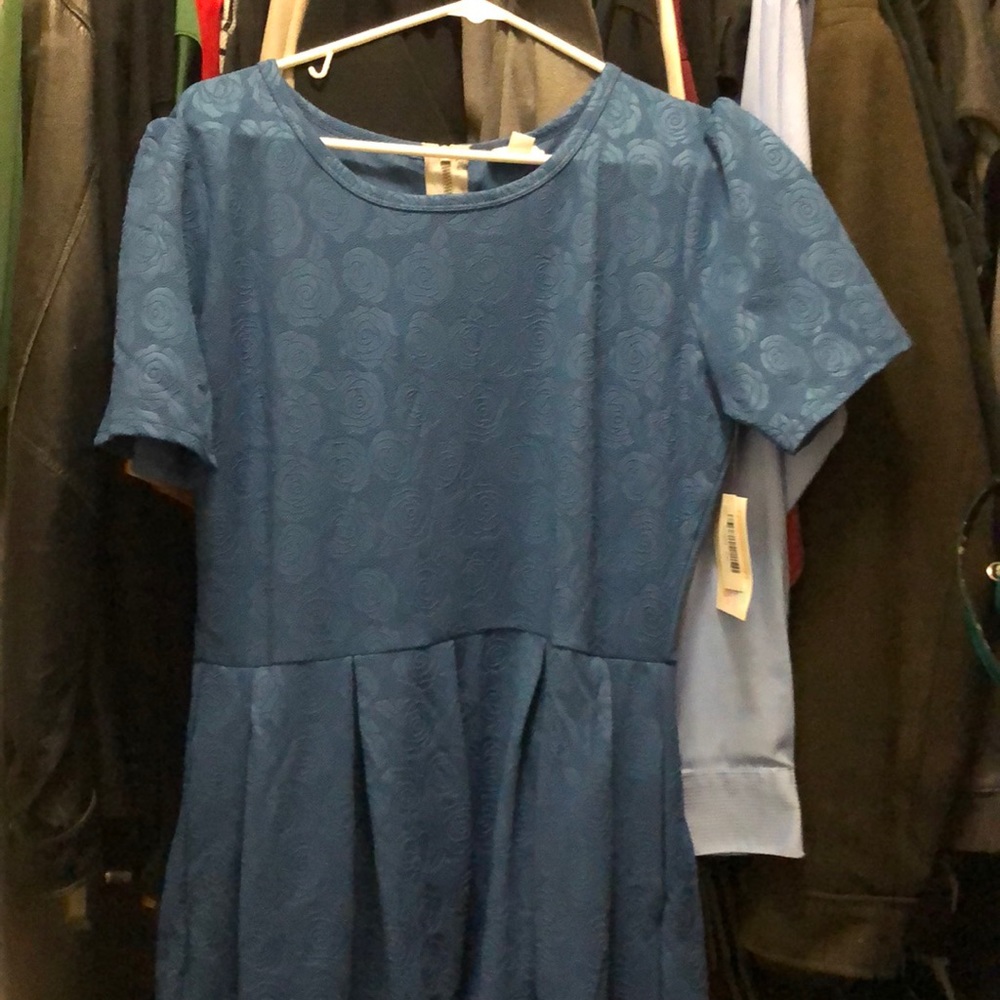 Amelia 2xl blue flower dress